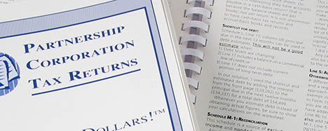 Cashflow analysis of partnerships, LLCs & corporations manual